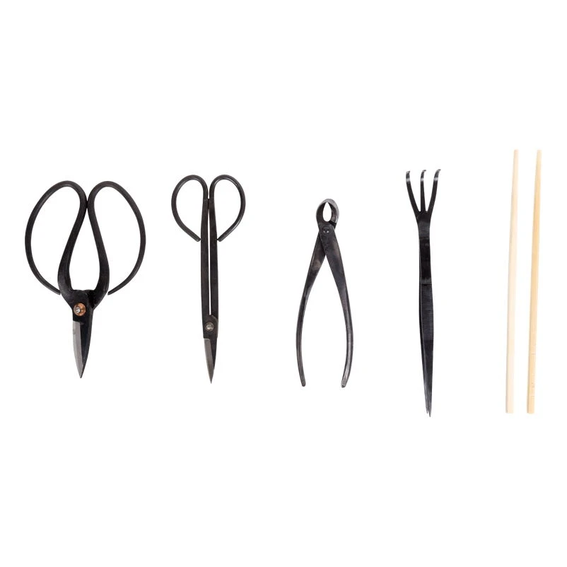Werkzeugset Für Die Bonsaipflege, 5-teilig, Mit Aufbewahrungstasche - Image 3