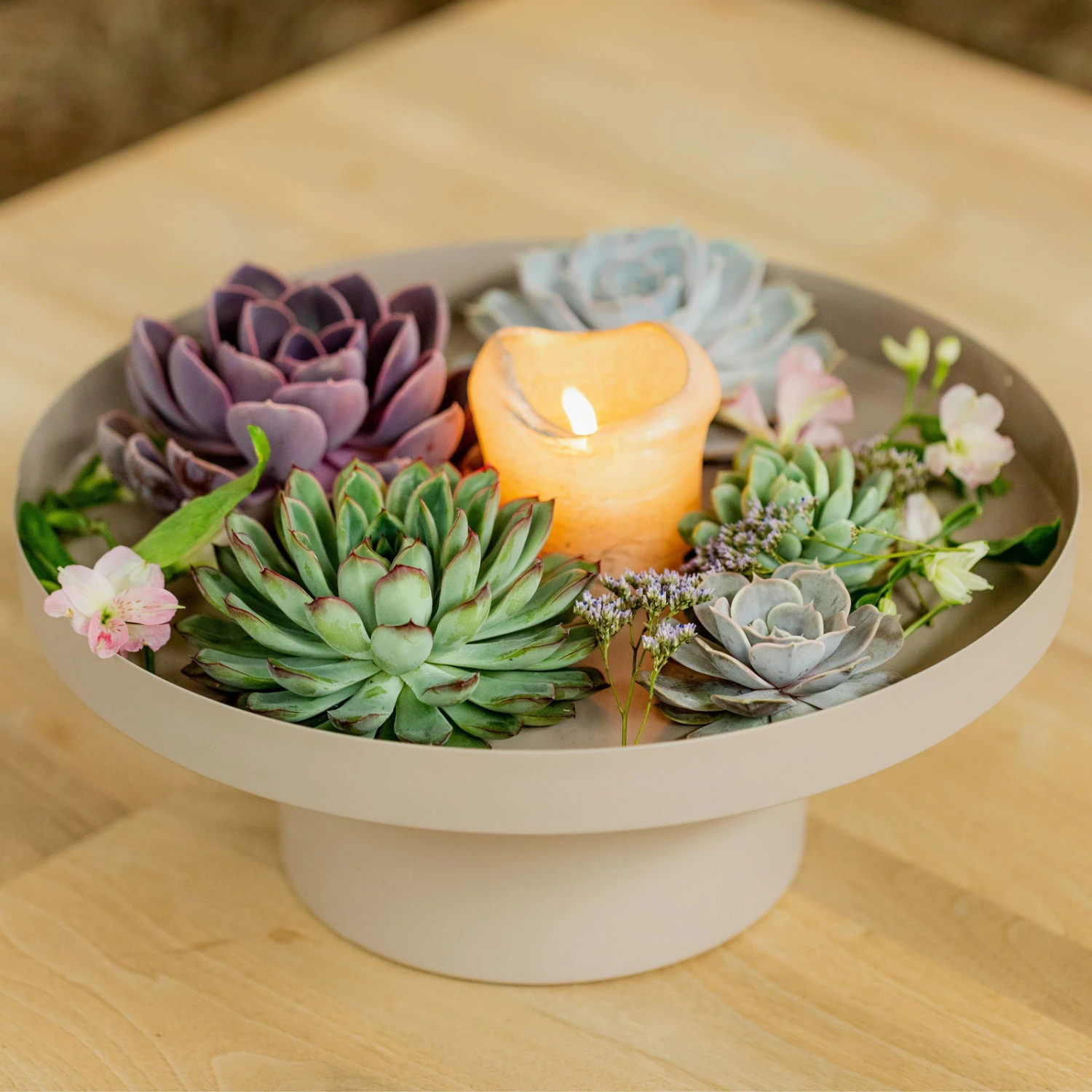 Schnitt-Echeveria Mix, 5 Stück In DIY Box, 7-10 Cm Ø - Image 2