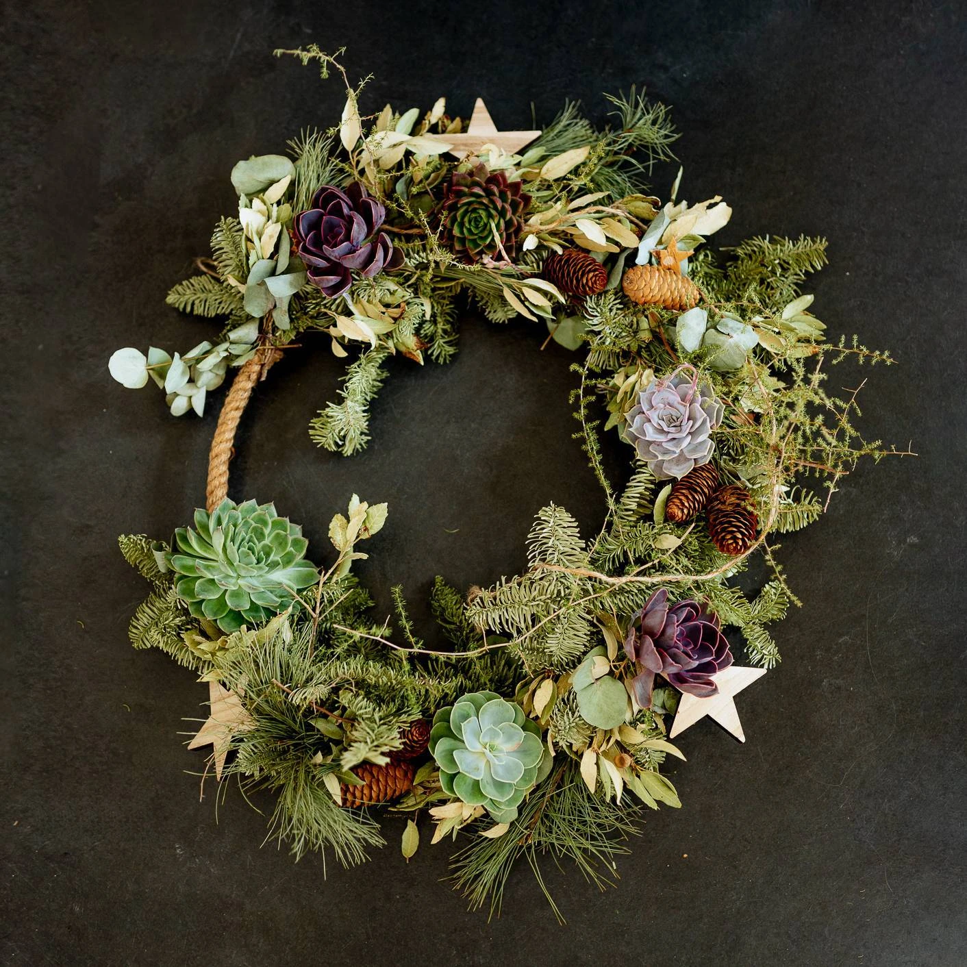 Schnittecheverien-Mix, Ă 16 Cm, 2er-Set - Image 5