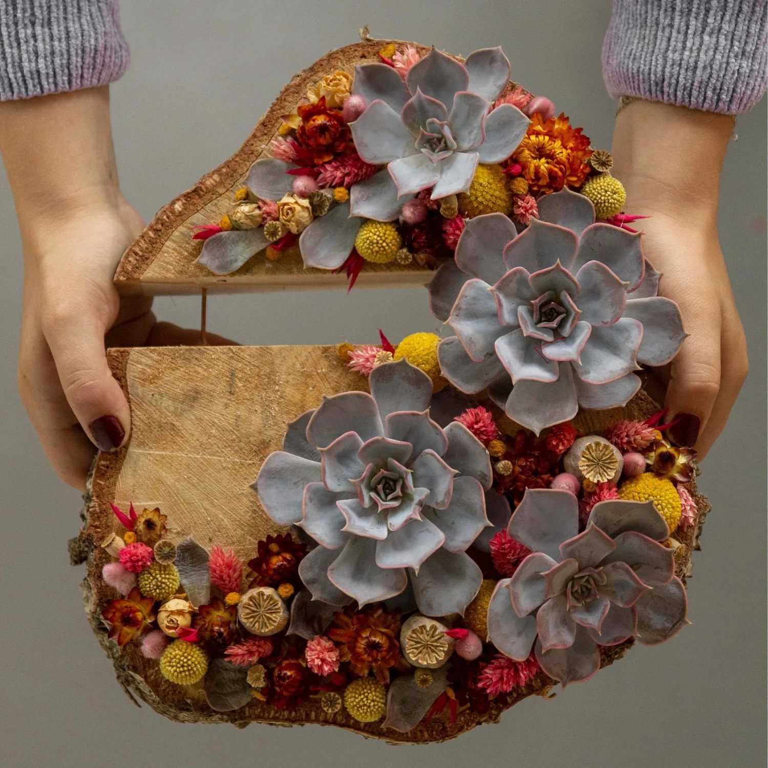 Schnittecheverien-Mix, Ă 16 Cm, 2er-Set - Image 4