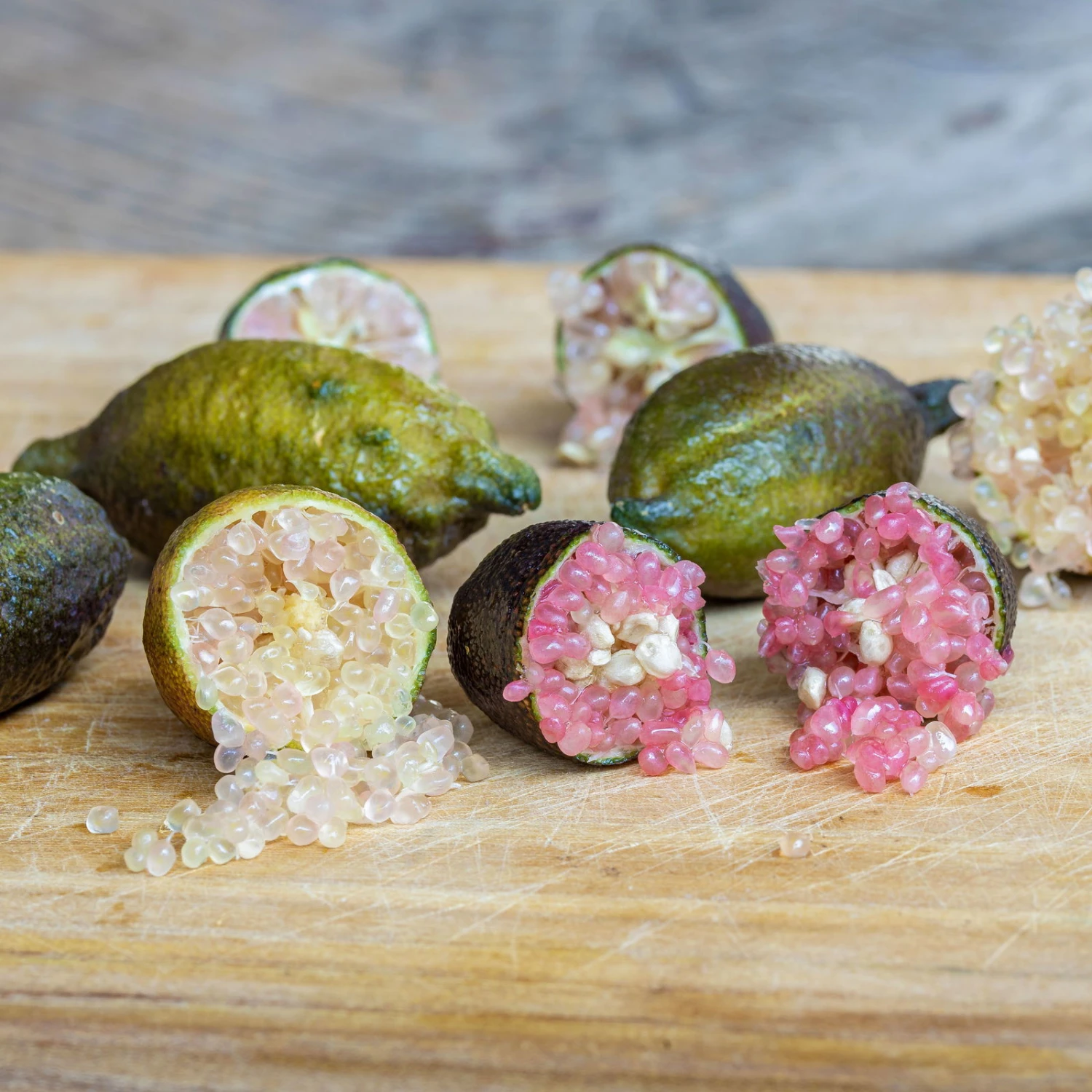 Fingerlimette, Topf-Ø 15 Cm, Höhe Ca. 40 Cm - Image 7