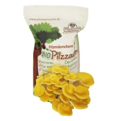 Pilzmännchen Bio Pilzzucht-Tüte Limonenpilz "Pilzzauber", 500 G