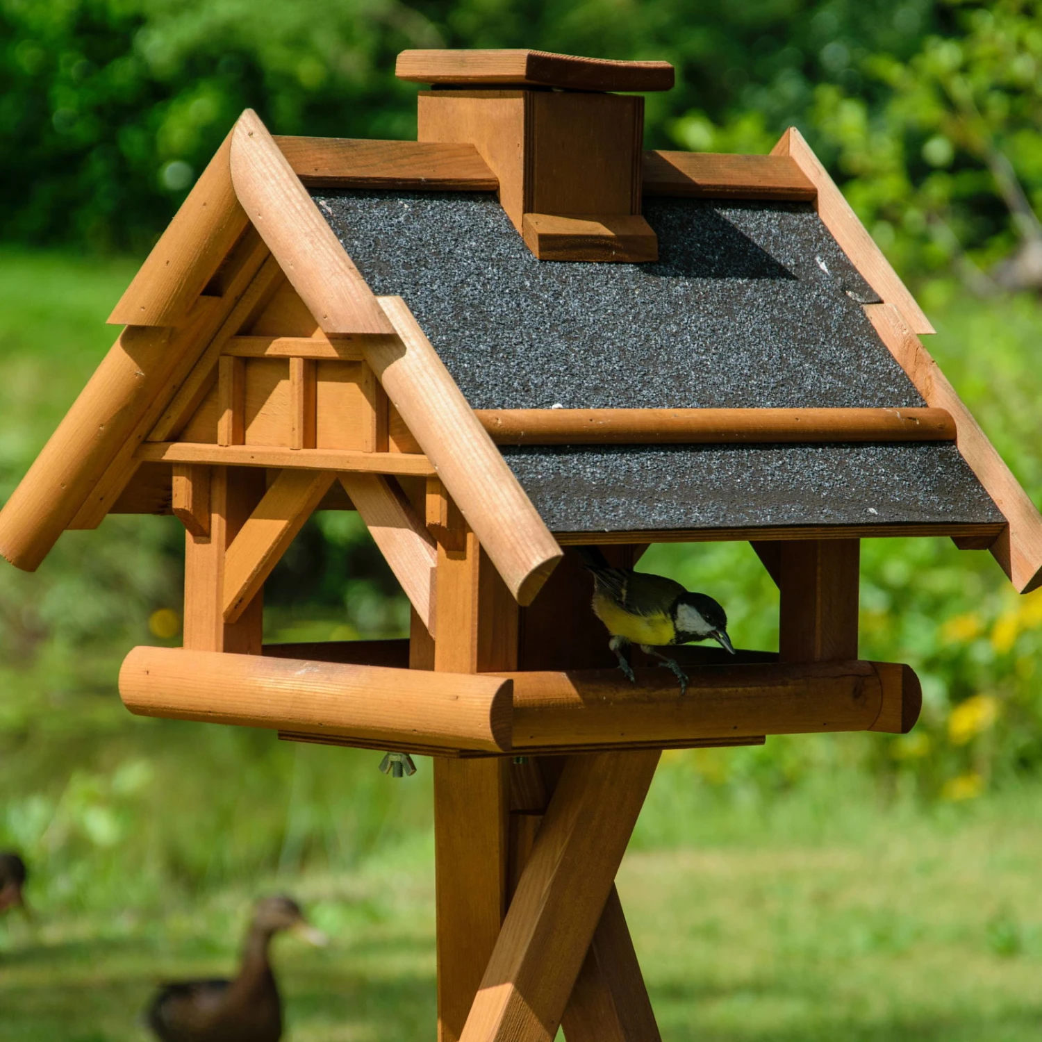 Vogelhaus Inkl. Ständer, Holz, Bernstein, 39 X 38 X 33 Cm - Image 6