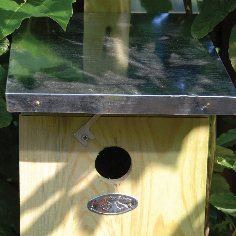 Nistkasten Kohlmeisen - Image 2