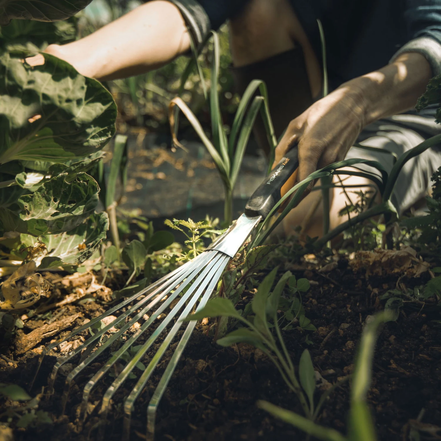 Fiskars Xact Handrechen - Image 3