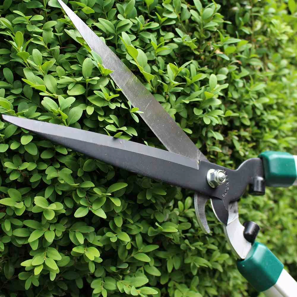 Pro Alu Heckenschere Mit Exzellenter Schneidleistung - Image 2