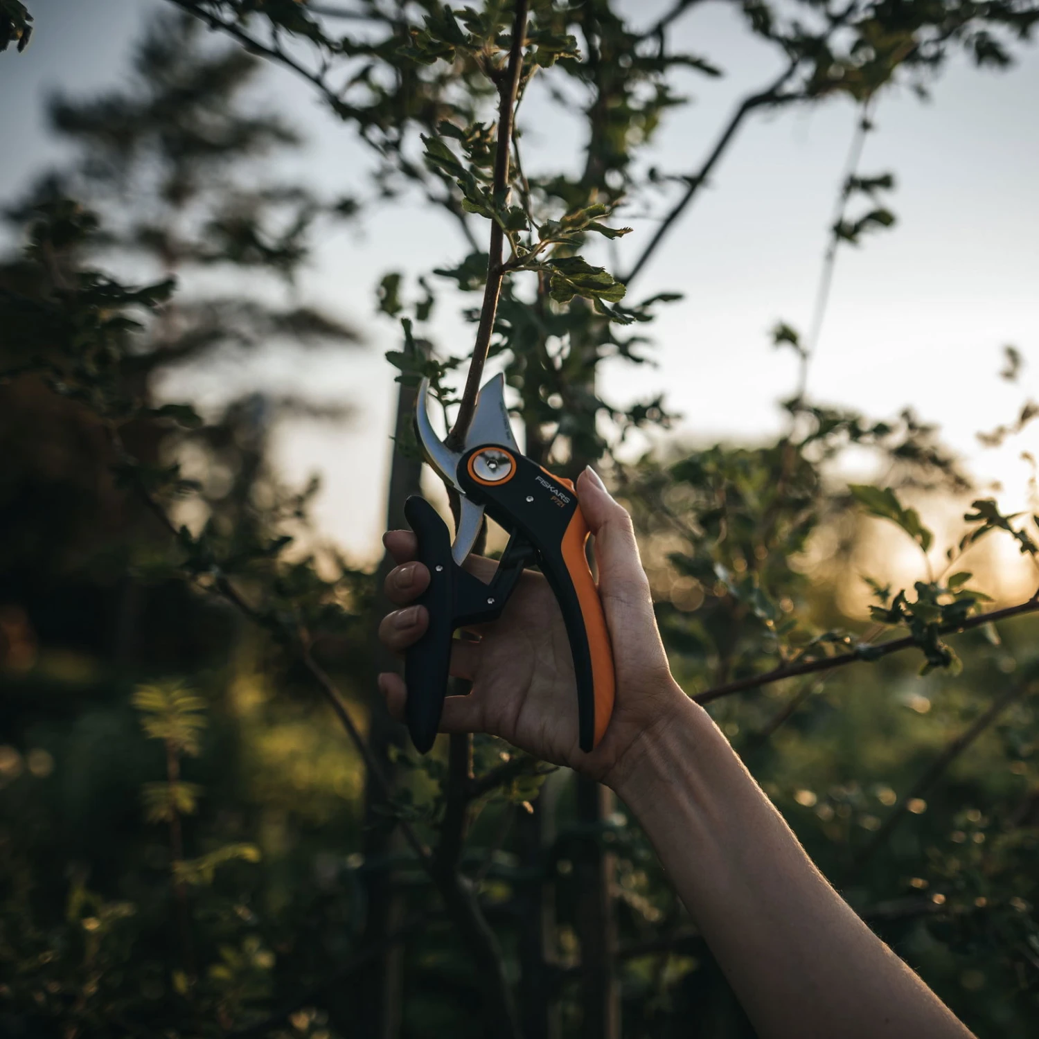 Fiskars Bypass-Schere 'PowerLever', Schwarz/orange - Image 3