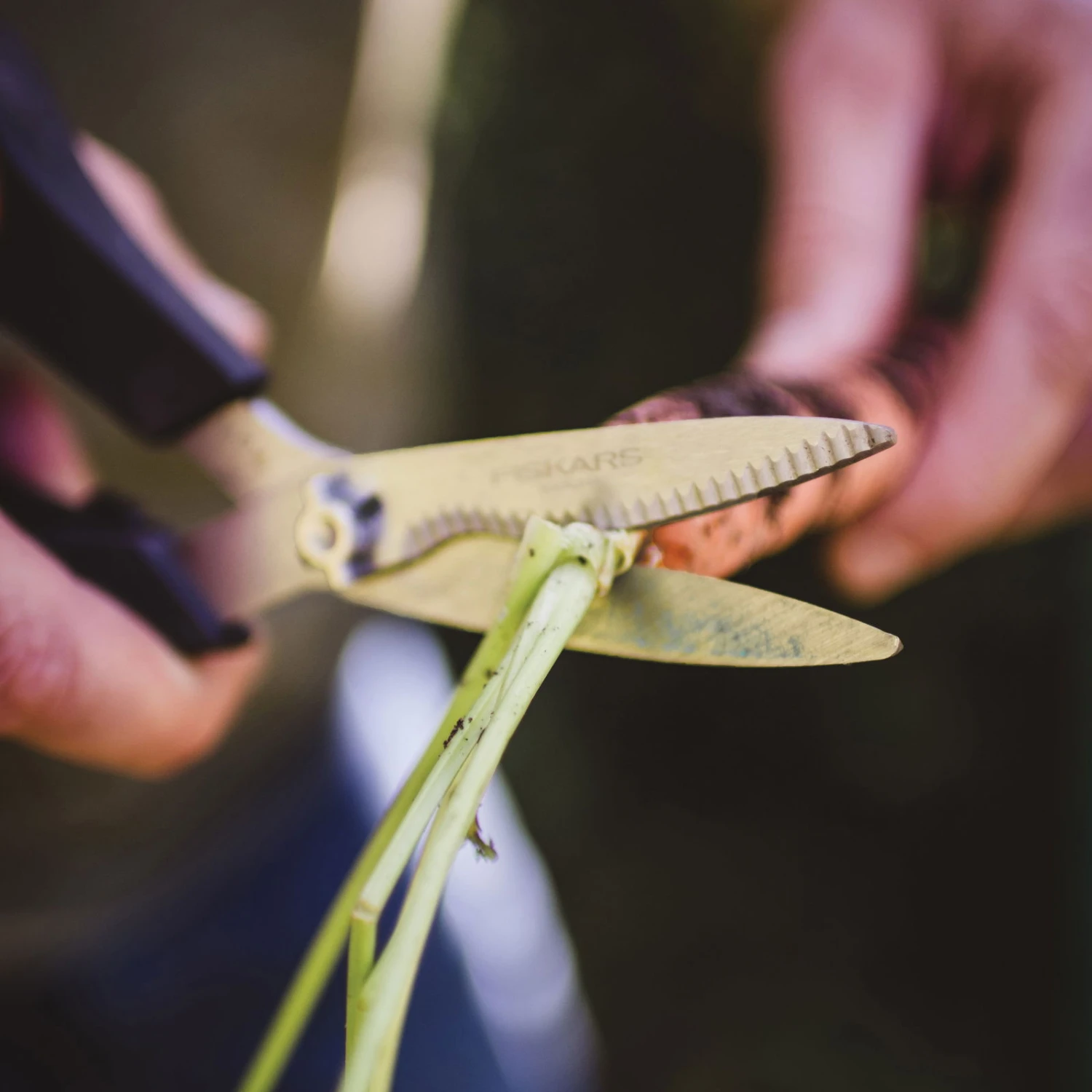 Gemüseschere Solid™ SP240, Schwarz/orange, Ca. 20 X 2 X 9 Cm - Image 4