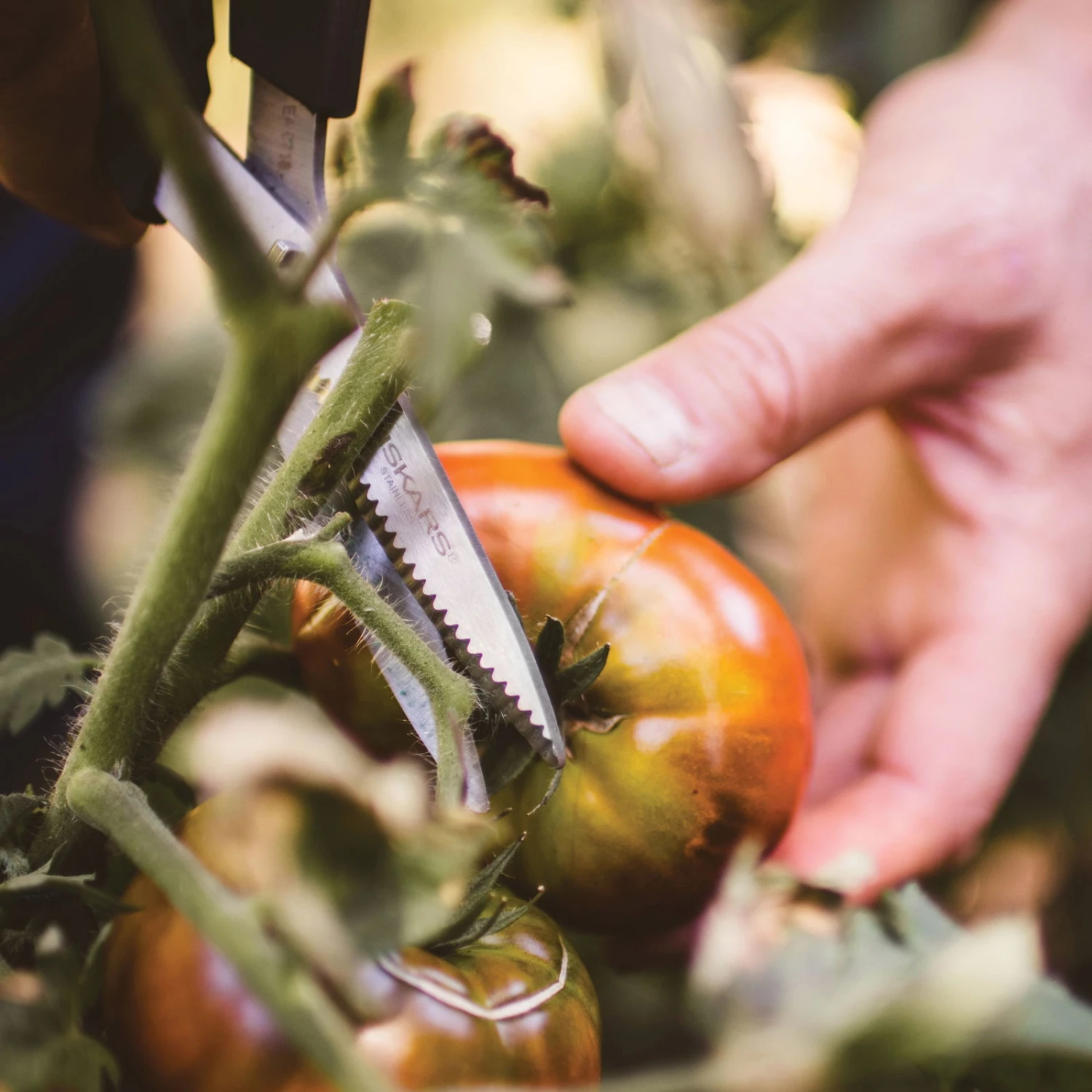 Gemüseschere Solid™ SP240, Schwarz/orange, Ca. 20 X 2 X 9 Cm - Image 3