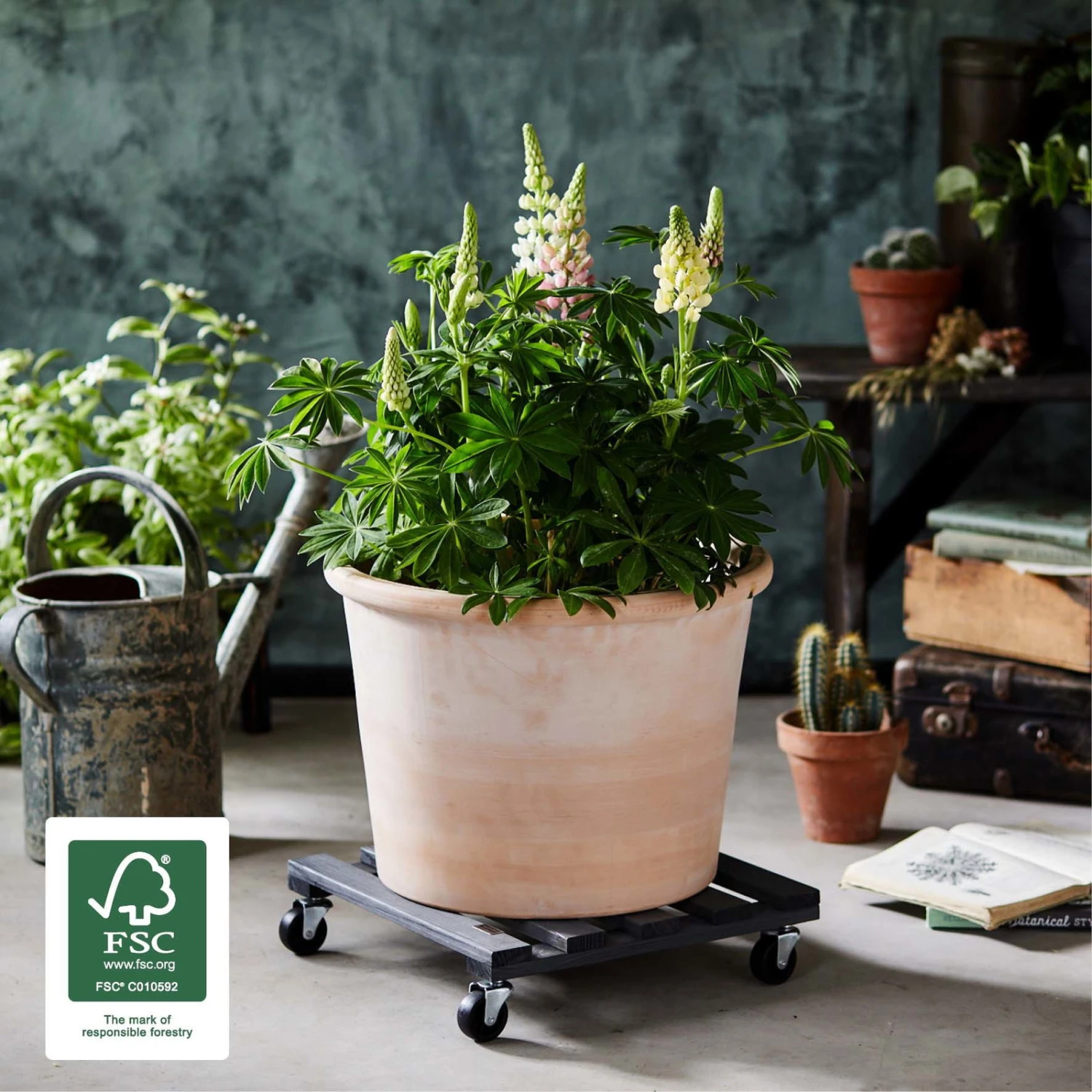 Multi Roller, Tragkraft 120 Kg, Anthrazit, Ca. 10 X 38 X 38 Cm - Image 2