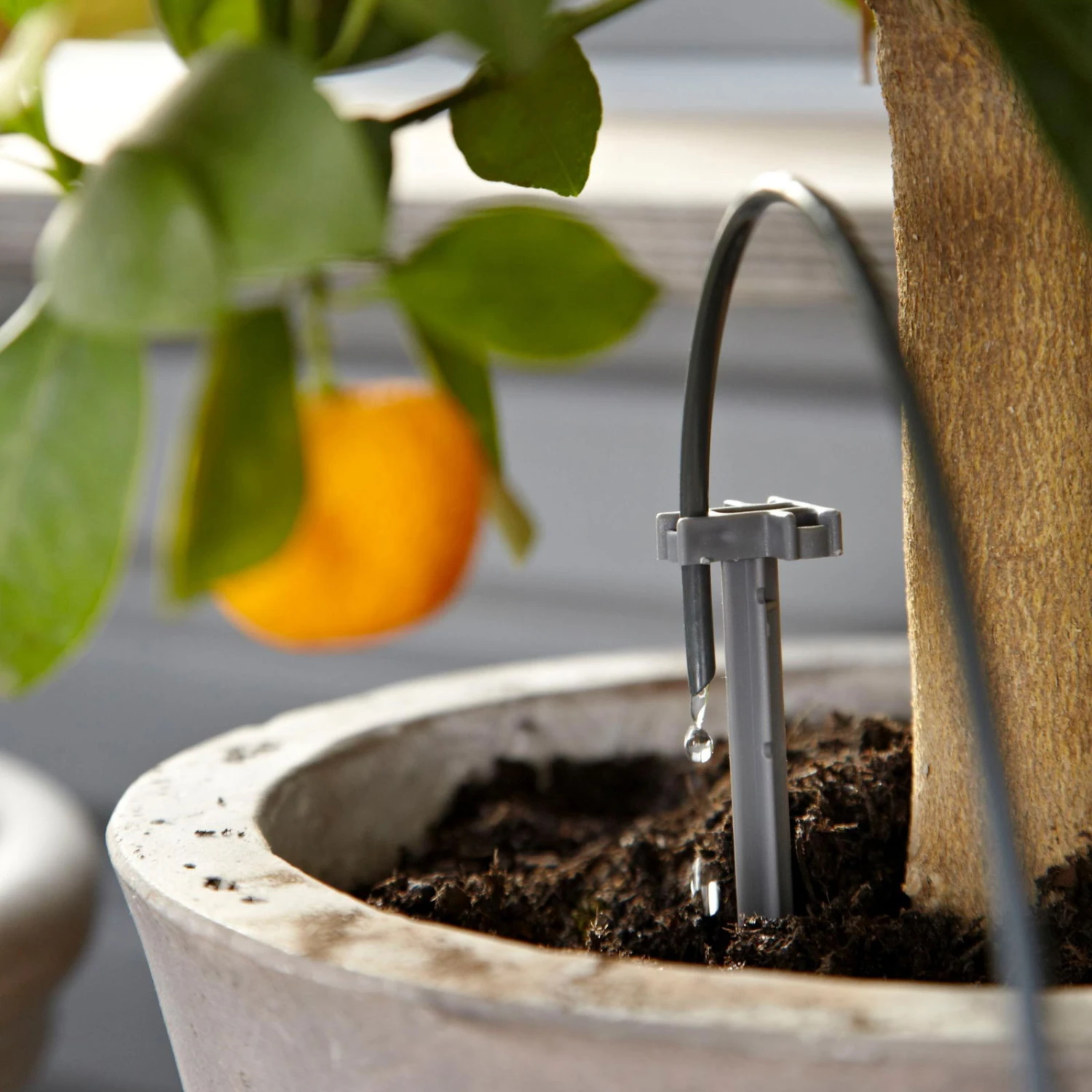 Gardena Urlaubsbewässerung City-Gardening, Bis Zu 36 Töpfe, Transformator, Zeitschaltuhr - Image 5