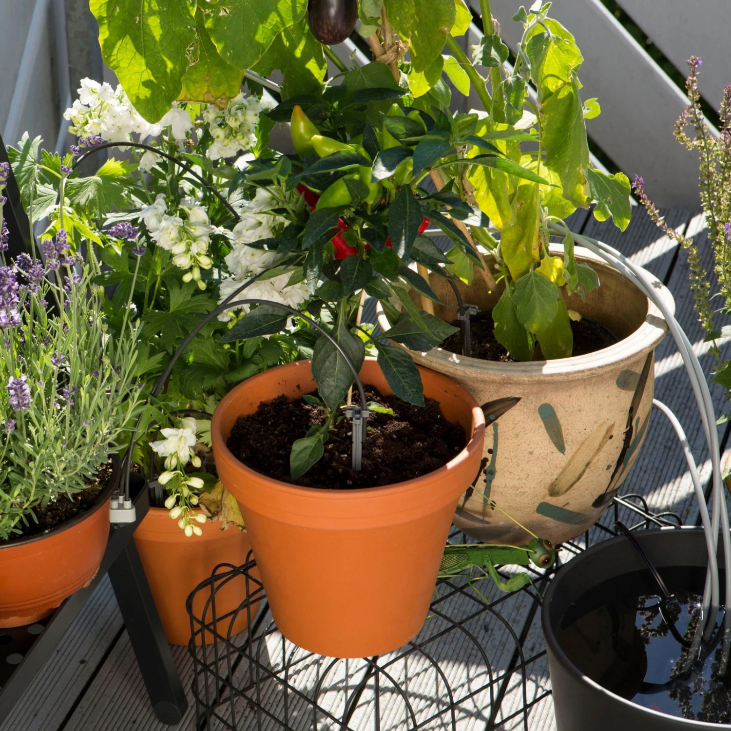 Gardena Urlaubsbewässerung City-Gardening, Bis Zu 36 Töpfe, Transformator, Zeitschaltuhr - Image 6