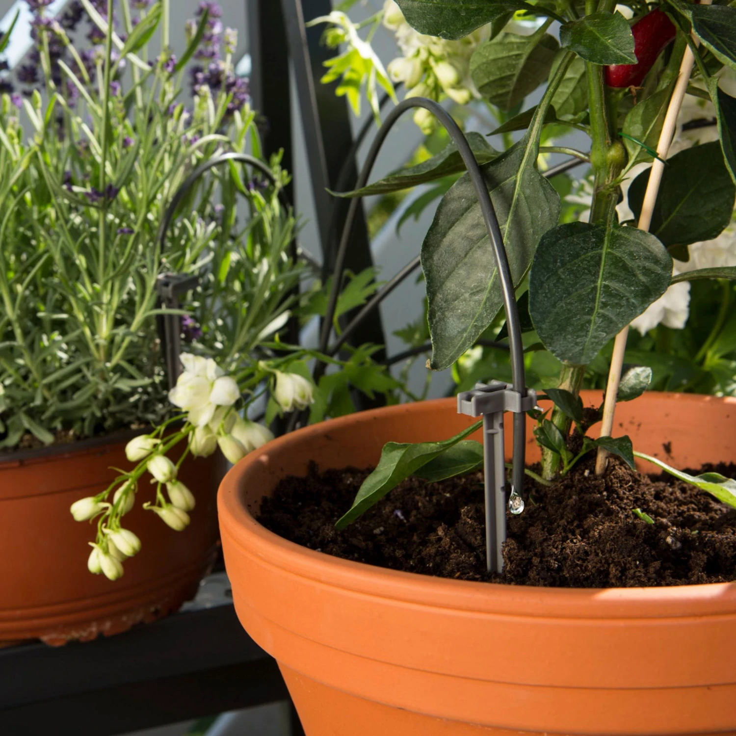 Gardena Urlaubsbewässerung City-Gardening, Bis Zu 36 Töpfe, Transformator, Zeitschaltuhr - Image 7