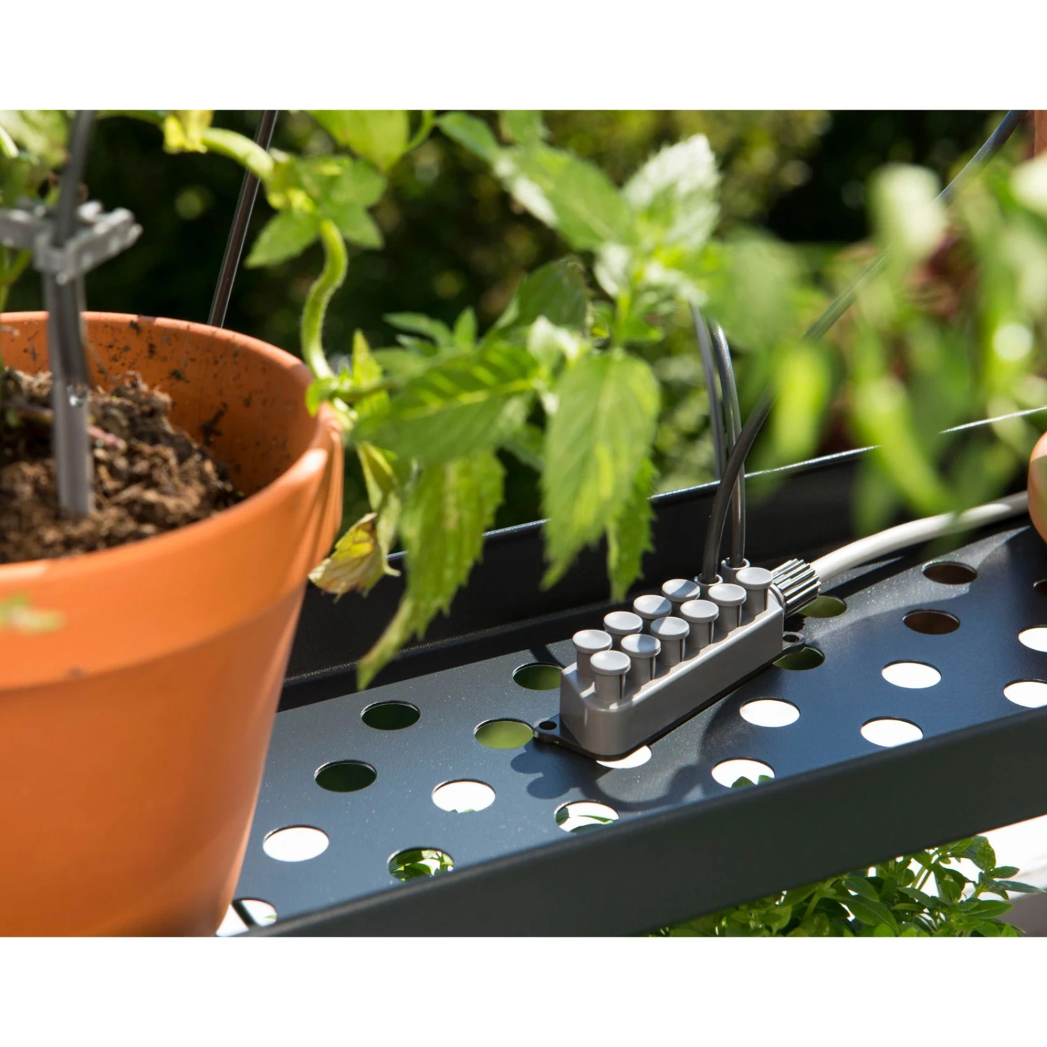 Gardena Urlaubsbewässerung City-Gardening, Bis Zu 36 Töpfe, Transformator, Zeitschaltuhr - Image 8