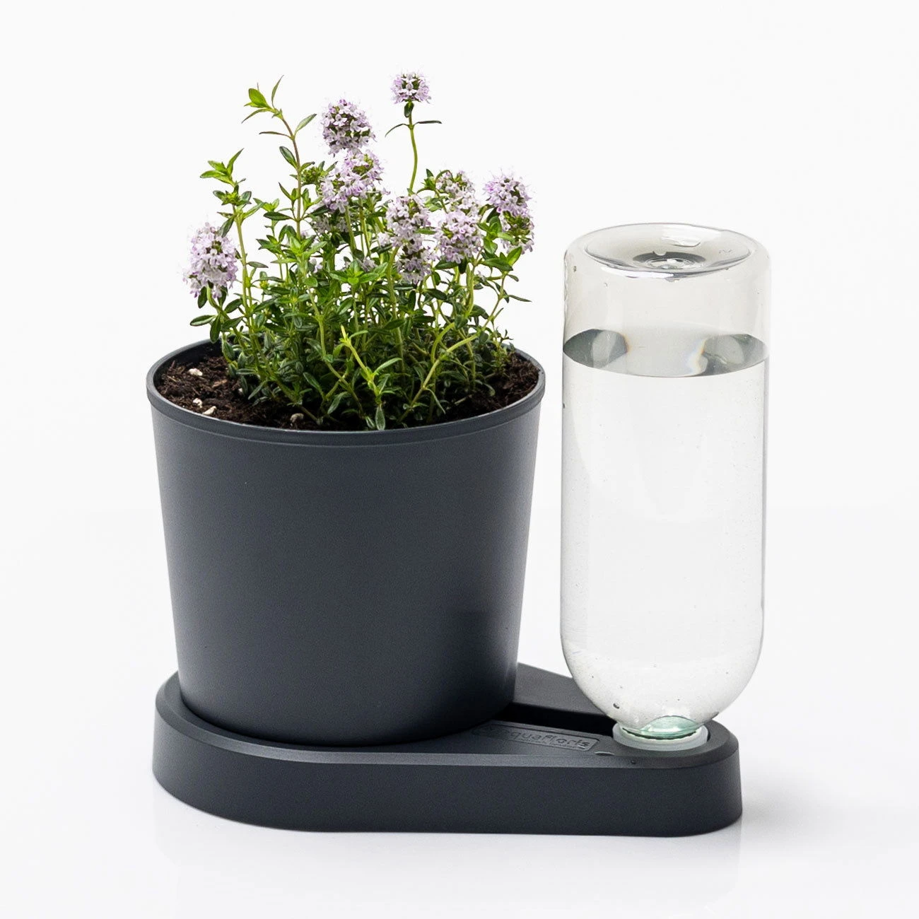 Kräuterheld, Anthrazit, PP/PET, 14 X 14 X 22 Cm - Image 3