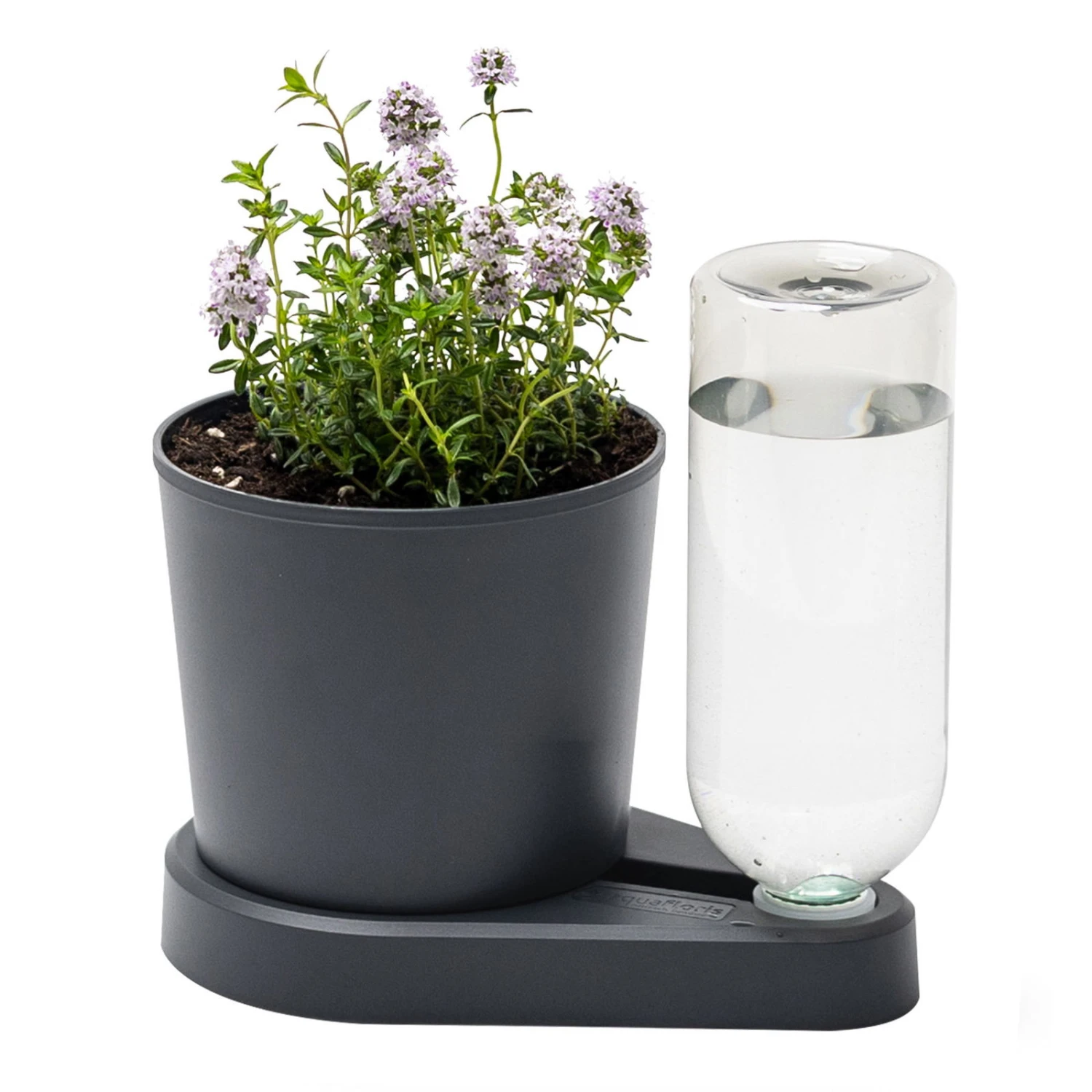 Kräuterheld, Anthrazit, PP/PET, 14 X 14 X 22 Cm