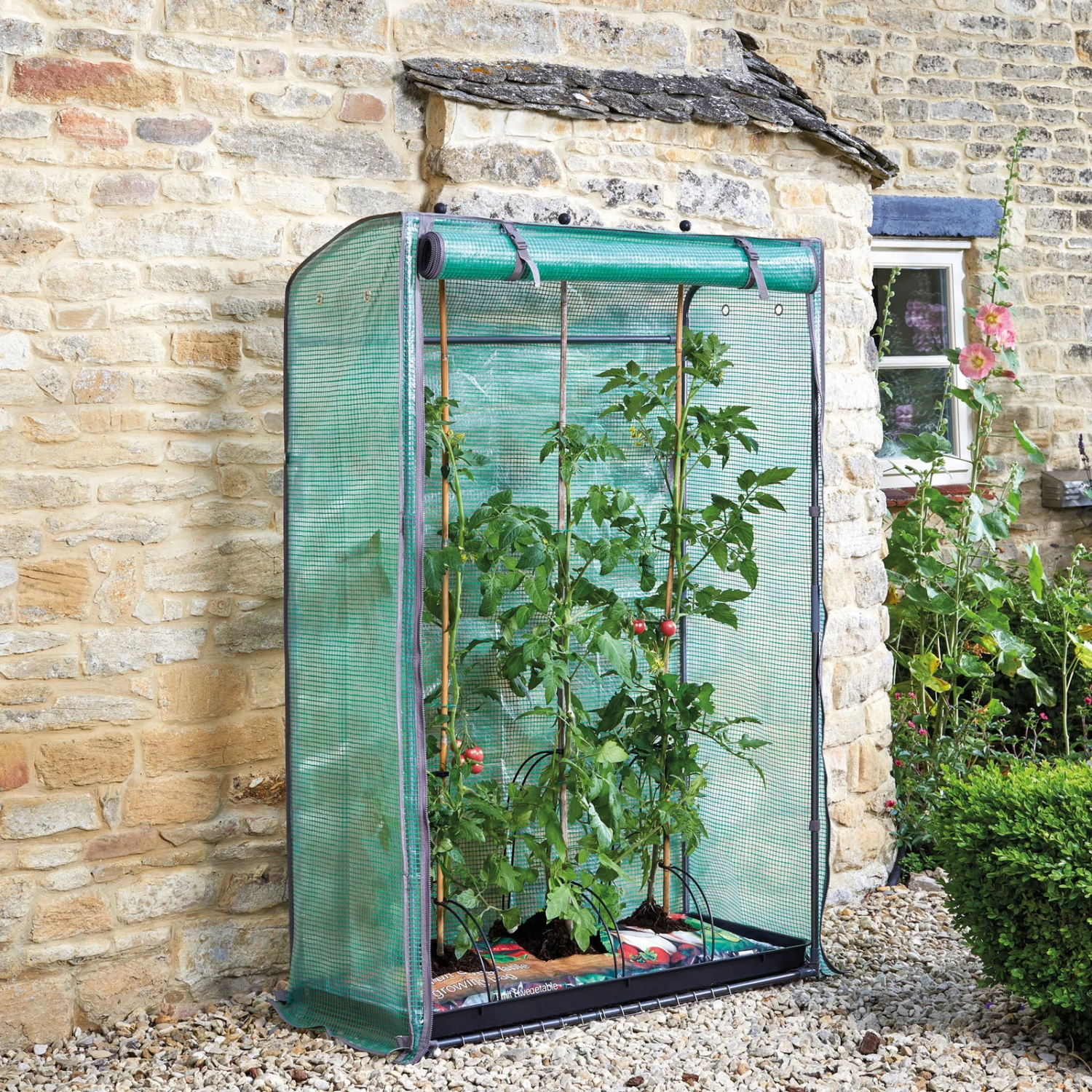 Tomatengewächshaus 'Tomato GroZone', Ca. 150 X 100 X 40 Cm - Image 3