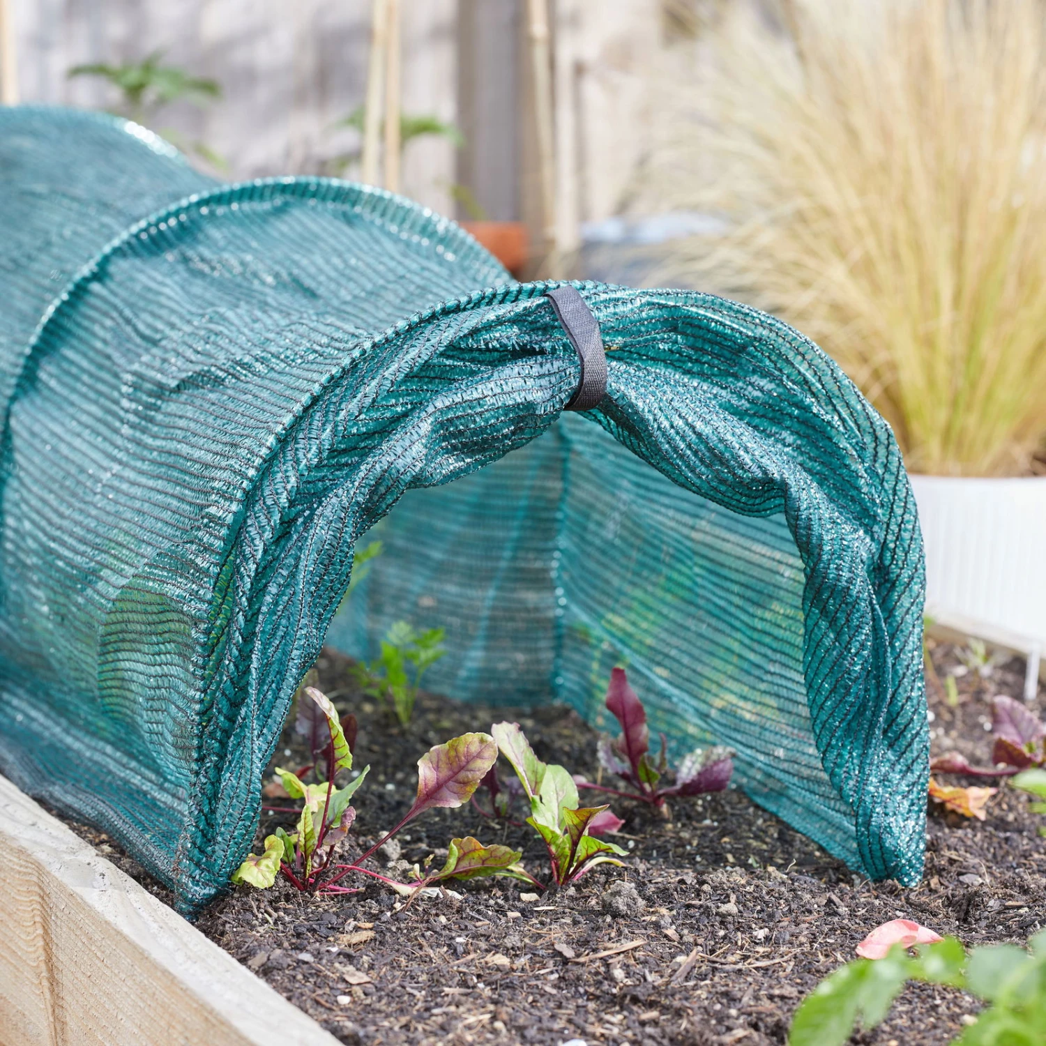 Anzuchttunnel 'GroZone Tunnel', LĂ€nge Ca. 300 Cm