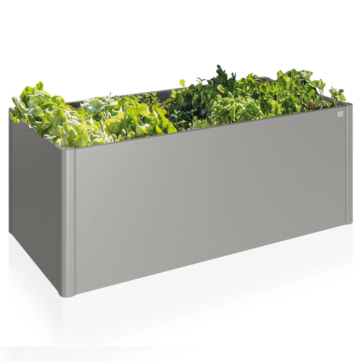 Biohort Hochbeet Als Schöner Hingucker - Image 2