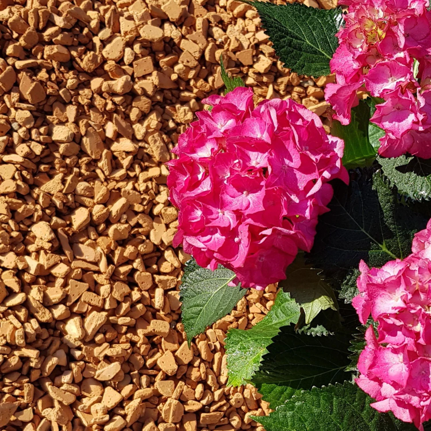 Ziegel-Granulat Granupur 4-20 Mm, 20 Liter - Image 2