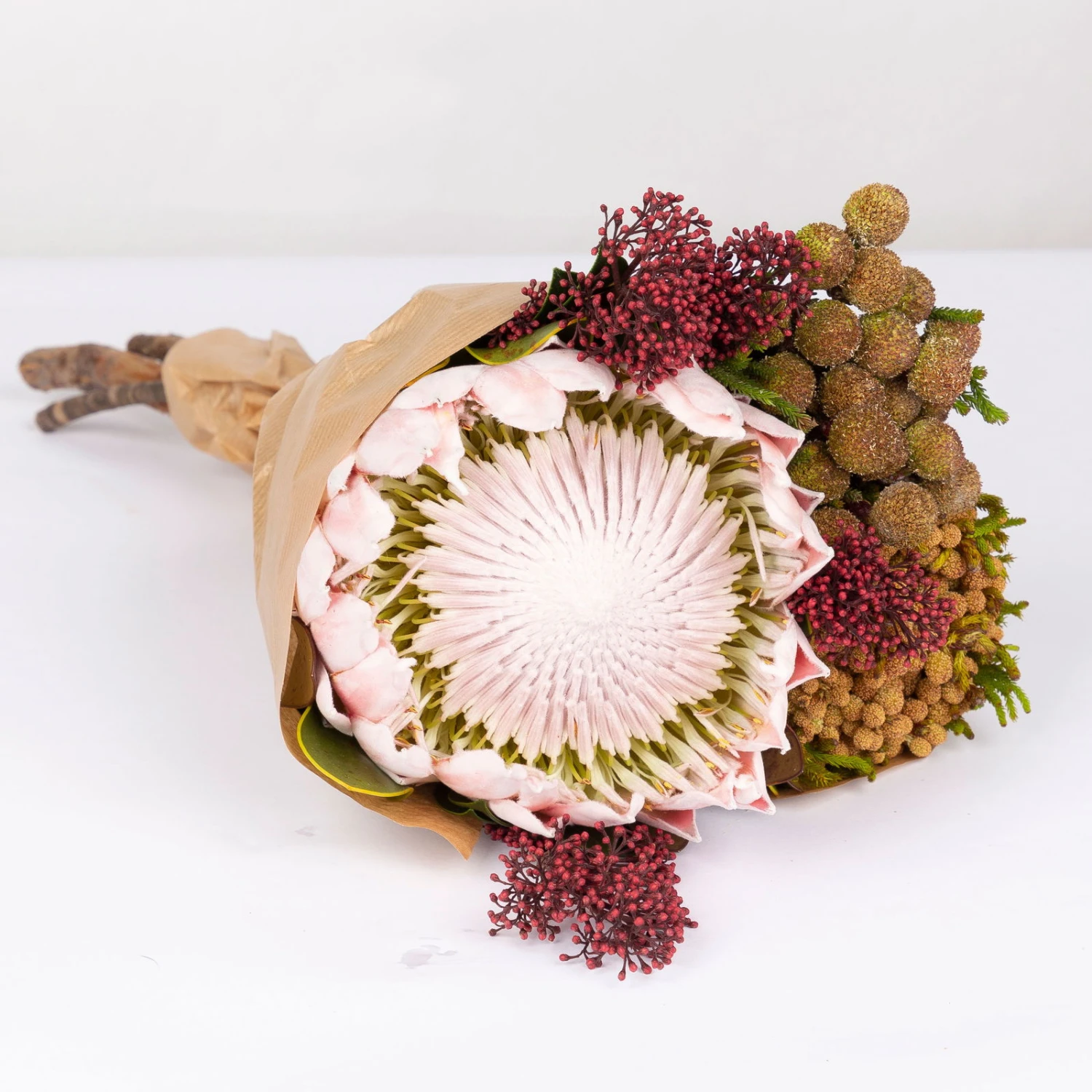 Blumenbund Protea King Mit Skimmie Und Kapgrün, Inkl. Gratis Grußkarte - Image 2