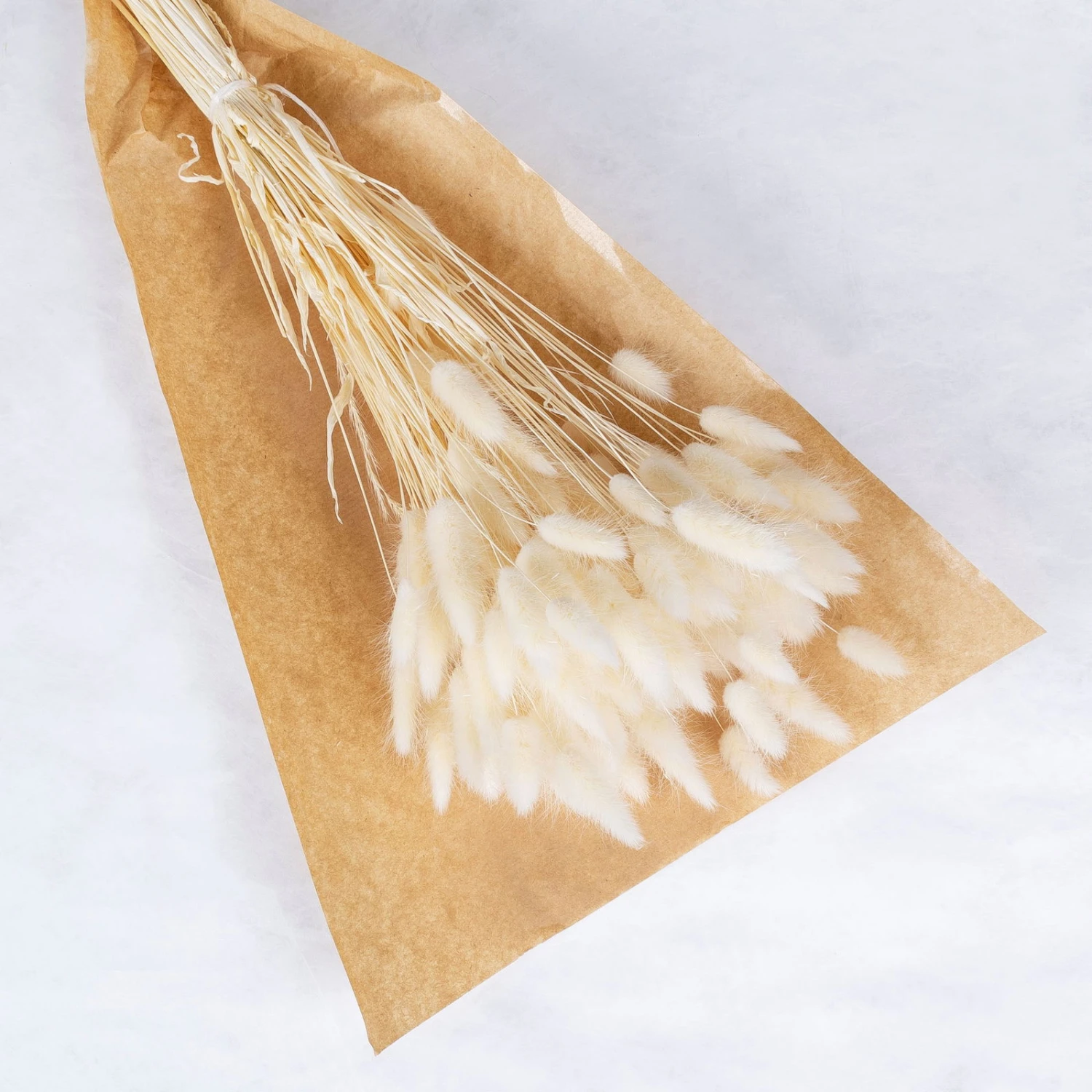 Samtgras Im Bund, Gebleicht Und Getrocknet, Ca. 65 Cm - Image 2