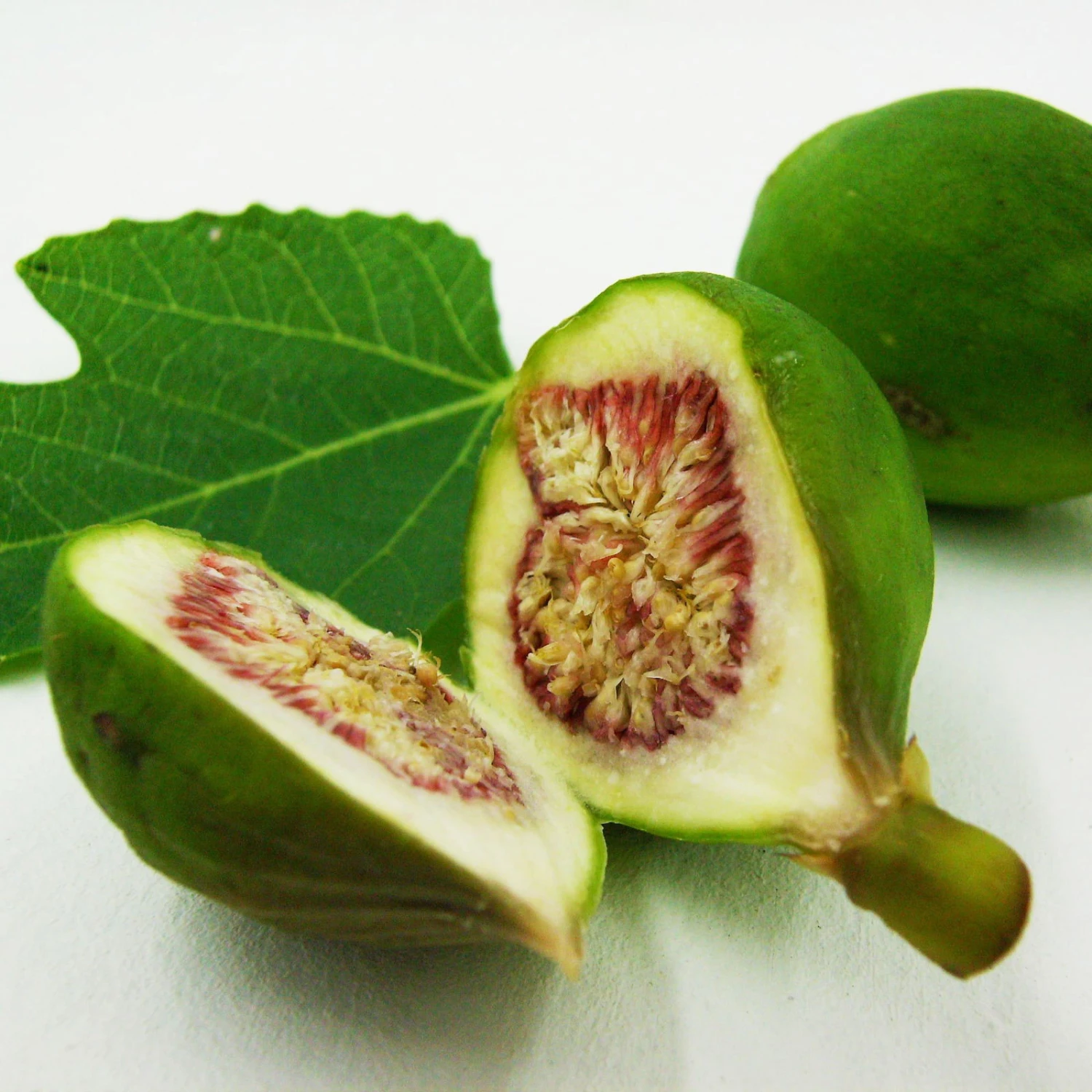 Bio Feigenbaum, Topf-Ø 12 Cm, 2er-Set - Image 3