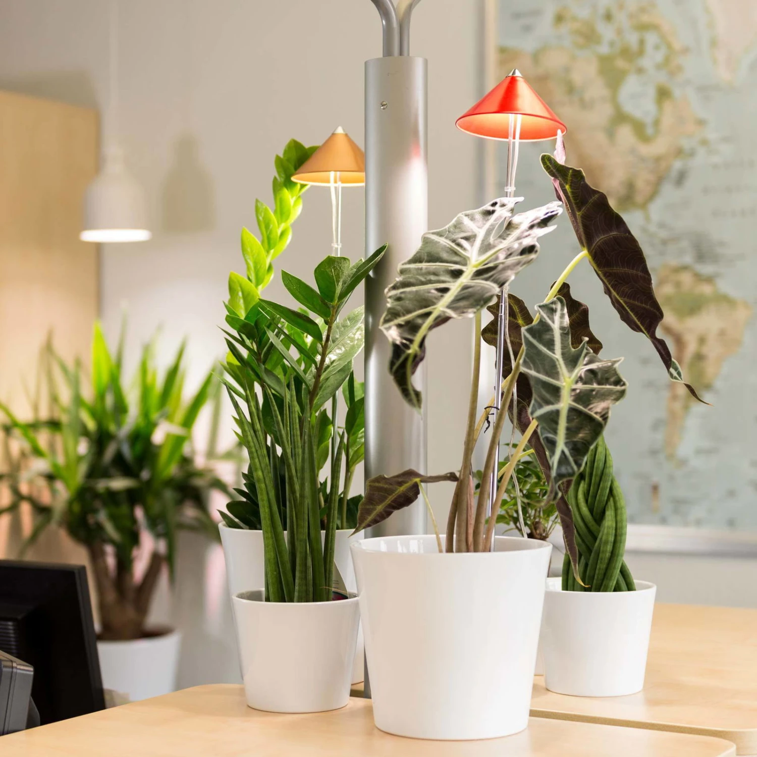 Sunlite Pflanzenlampe Kupfer, 7 Watt - Image 4