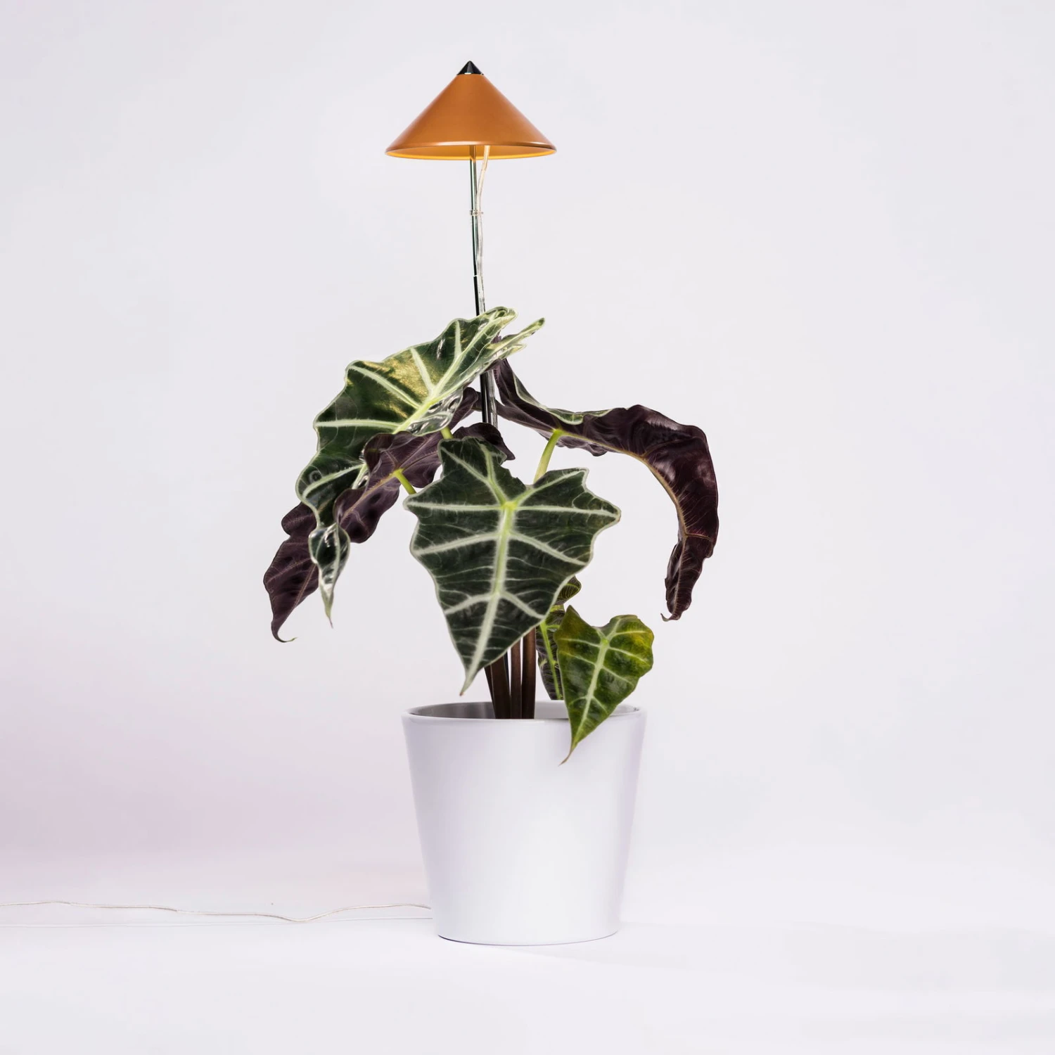 Sunlite Pflanzenlampe Kupfer, 7 Watt - Image 2