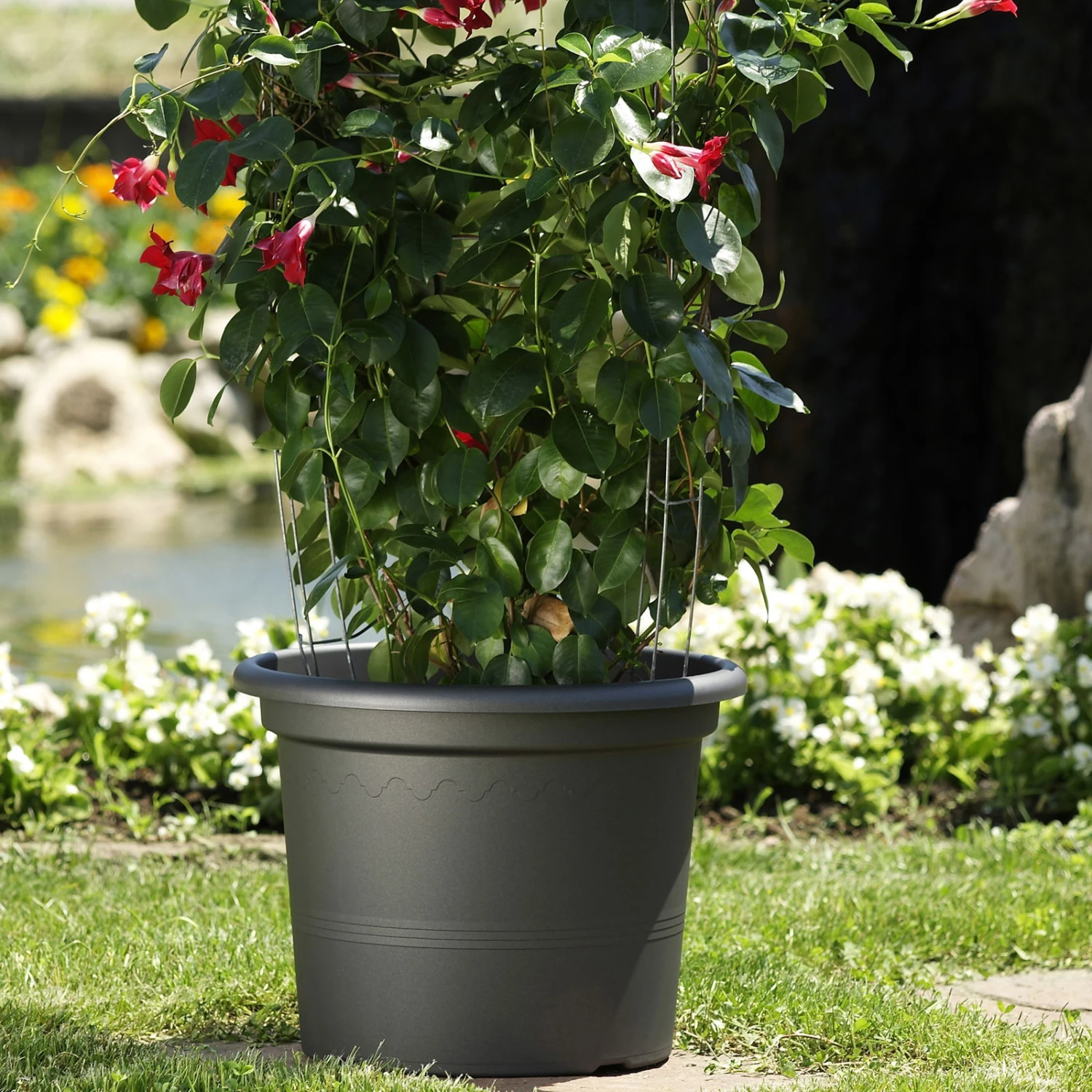 Euro 3 Plast Pflanzkübel Geo Anthrazit