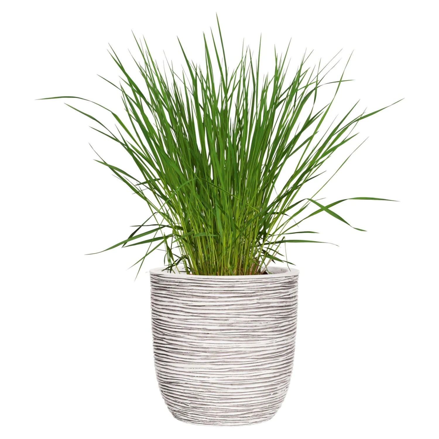 Capi Europe Pflanzgefäß Tutch Riffel Cullen, Elfenbein - Image 2