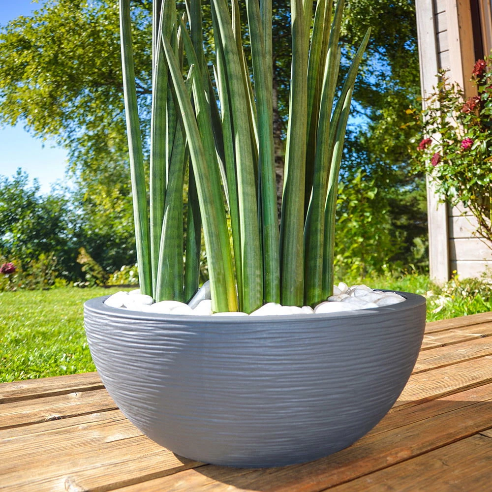 Pflanzschale Graphit Ella Anthrazit - Image 4