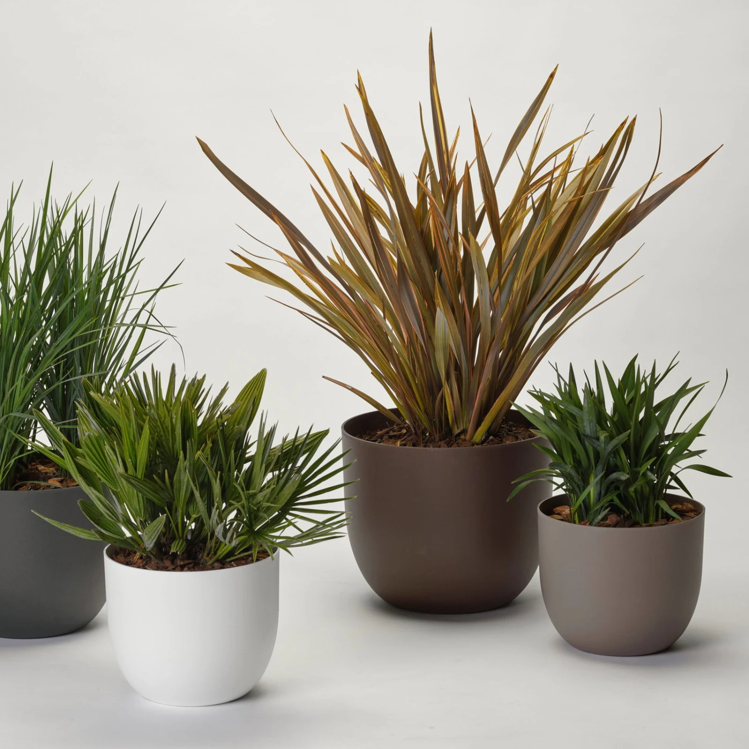 Pflanzkübel 'Rio', Anthrazit, Ø 29 X H 24 Cm - Image 2