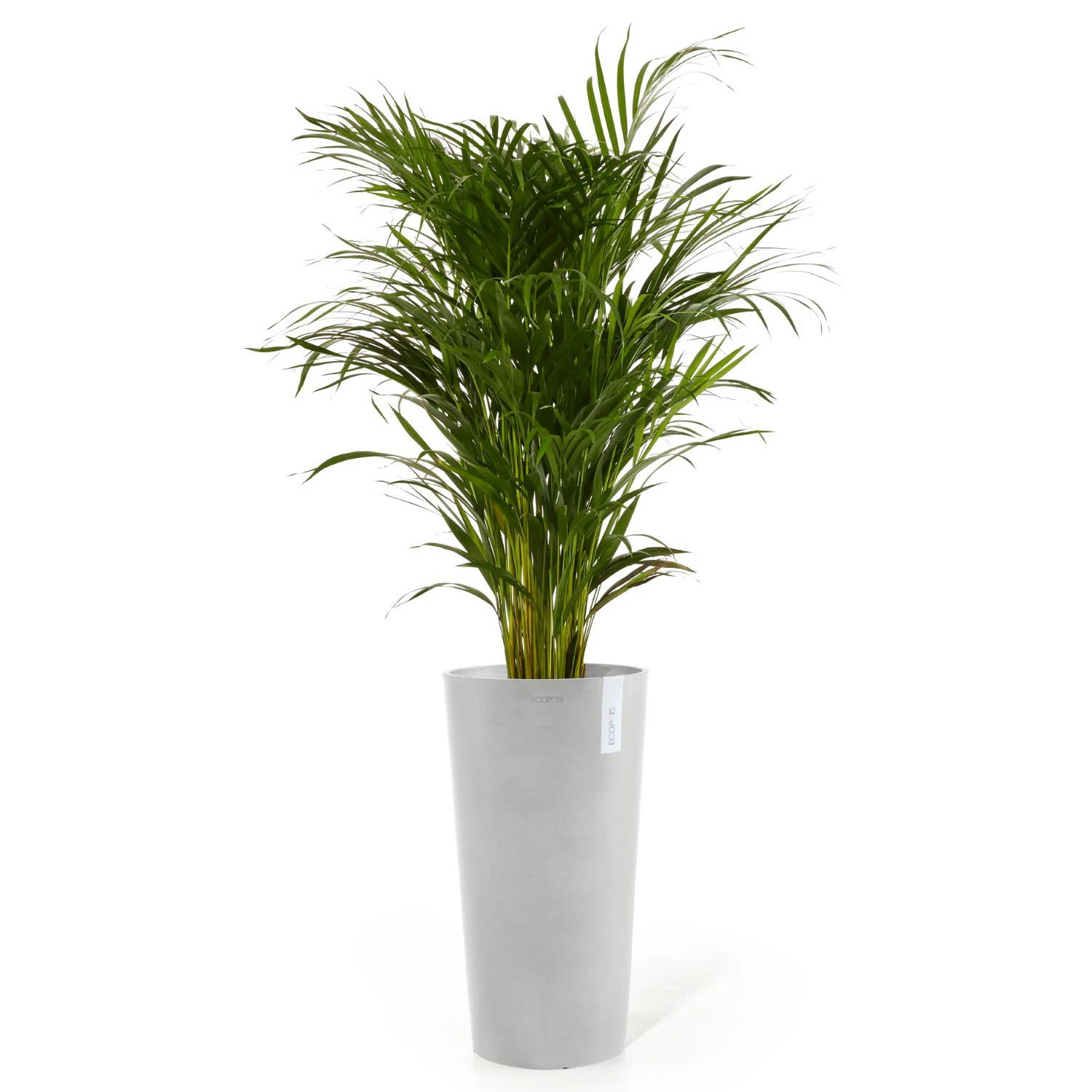 Pflanzgefäß 'Amsterdam Midi', Weißgrau - Image 2