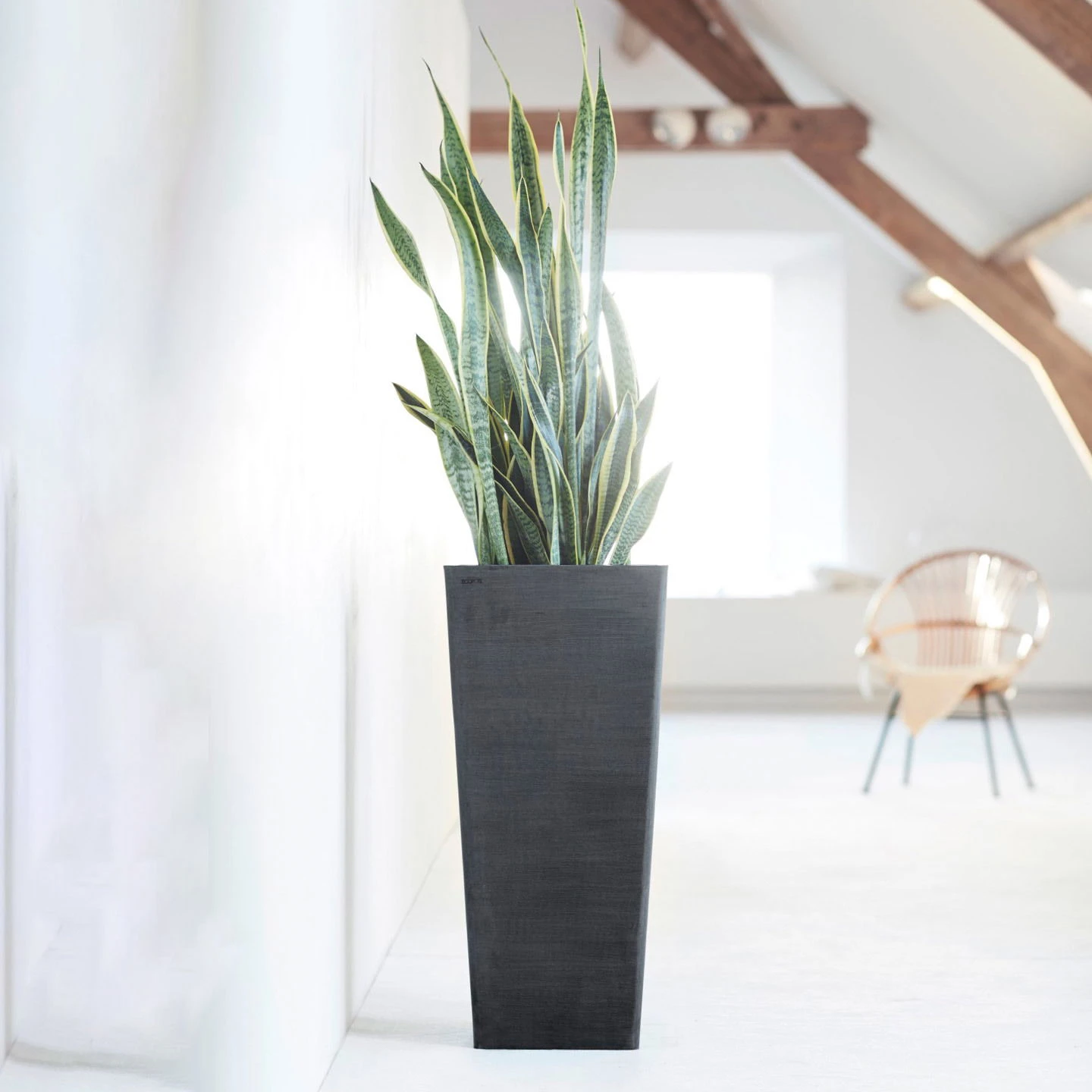 Pflanzgefäß 'Rotterdam MidHigh', Dunkelgrau - Image 3