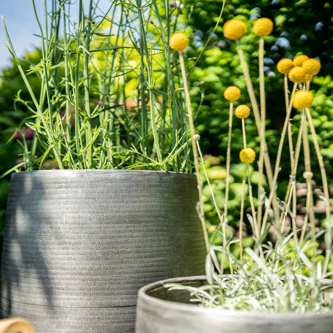 Pflanzgefäß 'Rowen', Silber, Ø 47 X H 82 Cm - Image 4