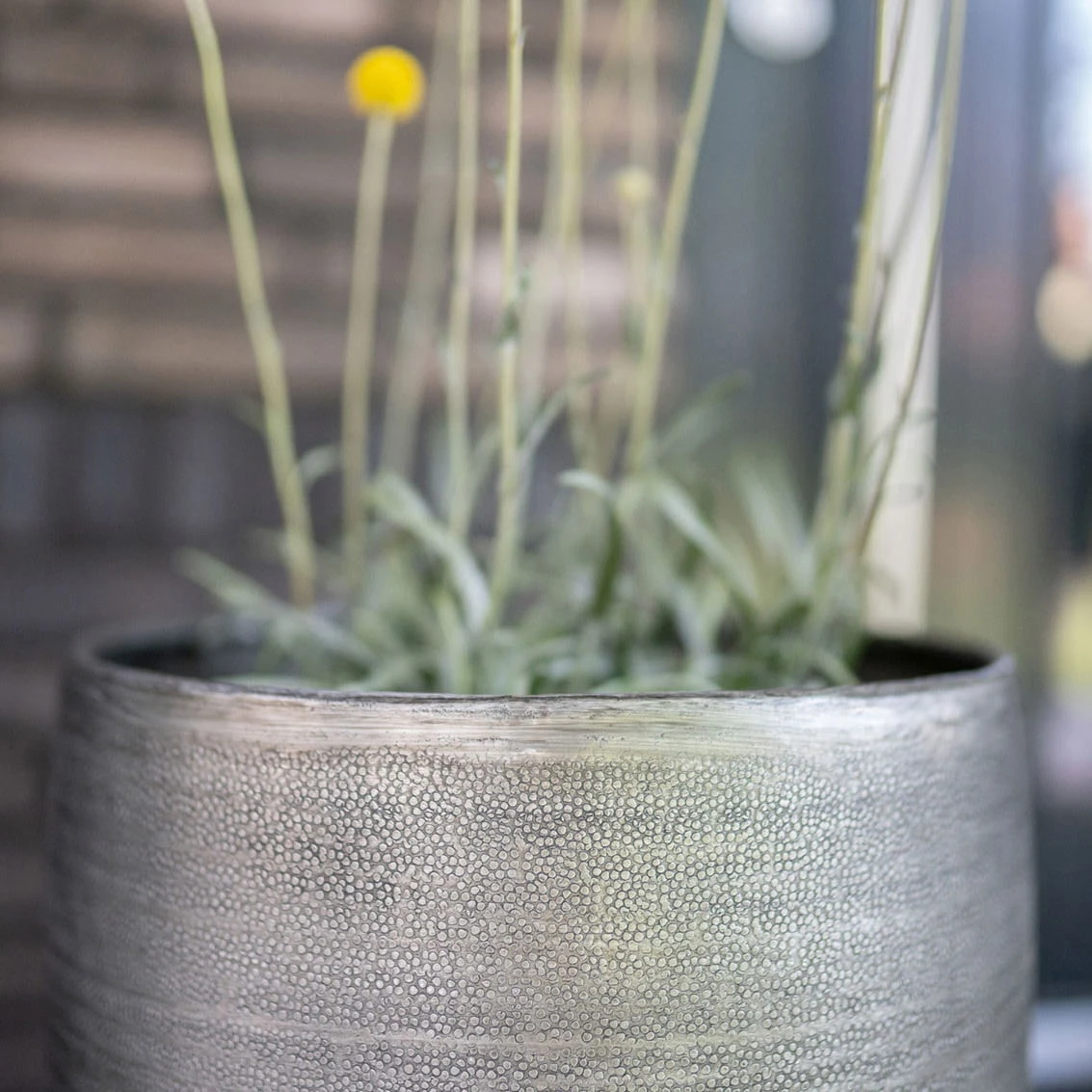 Pflanzgefäß 'Rowen', Silber, Ø 47 X H 82 Cm - Image 7