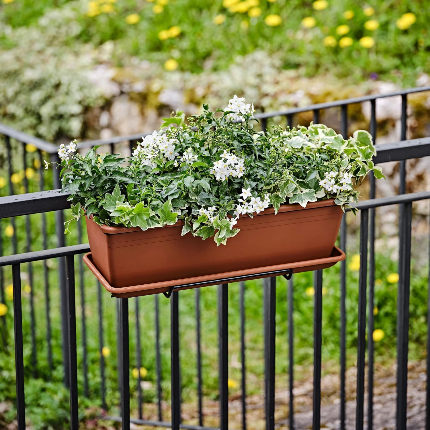 Blumenkasten 'Tera Kit Basic', Terra, Ca. 80 X 17 X 14 Cm - Image 2