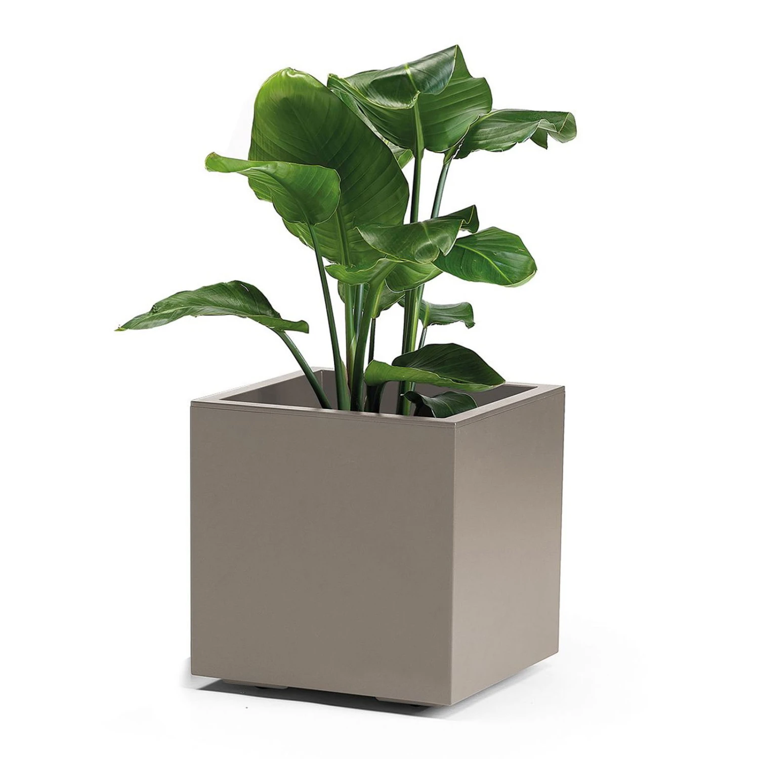 Pflanzkasten 'Kebe', Taupe, 35 Liter, 39,5 X 39,5 X 39,5 Cm