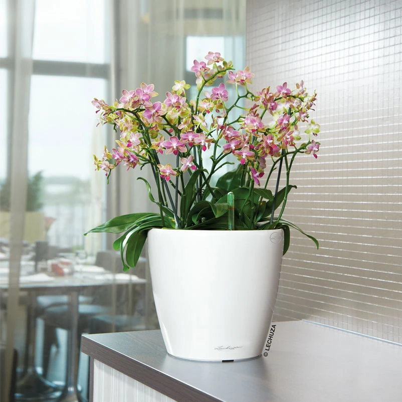 Lechuza Classico Premium 50 LS, Weiß Hochglanz, All-in-One-Set - Image 4