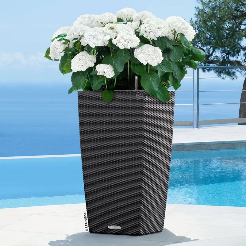 Lechuza Cubico Cottage 40, Granit, All-in-One-Set