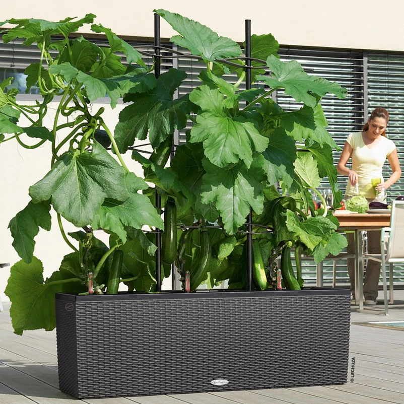 Lechuza Trio Cottage 30, Granit, All-in-One-Set