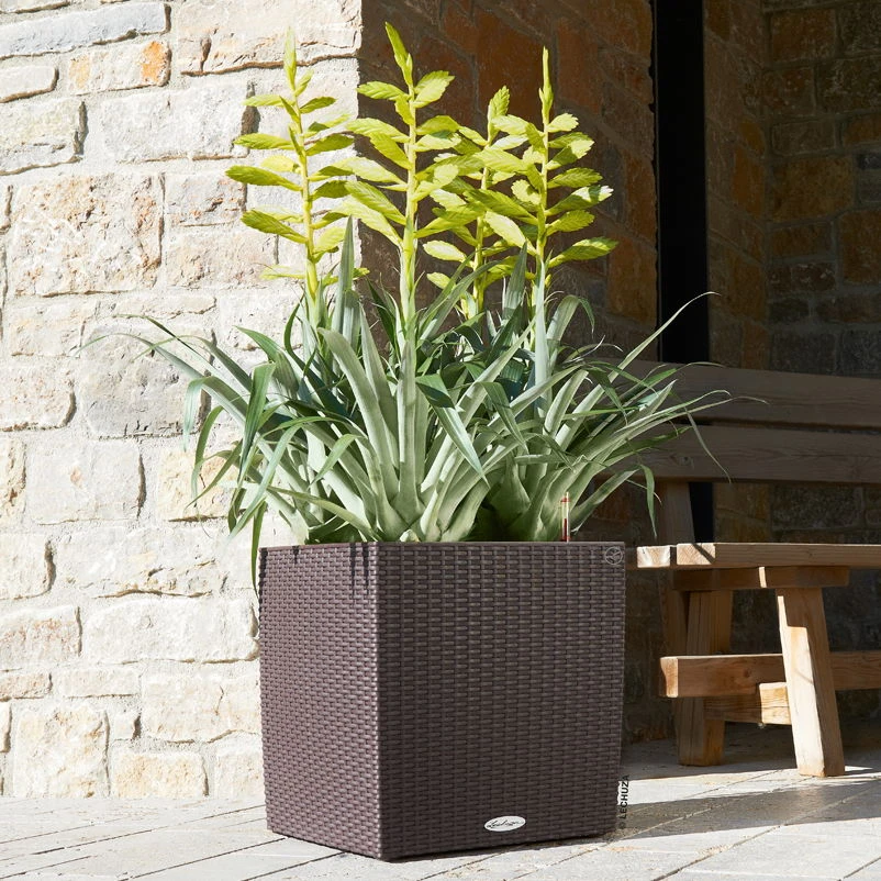 Lechuza Cube Cottage 40, Mokka, All-in-One-Set